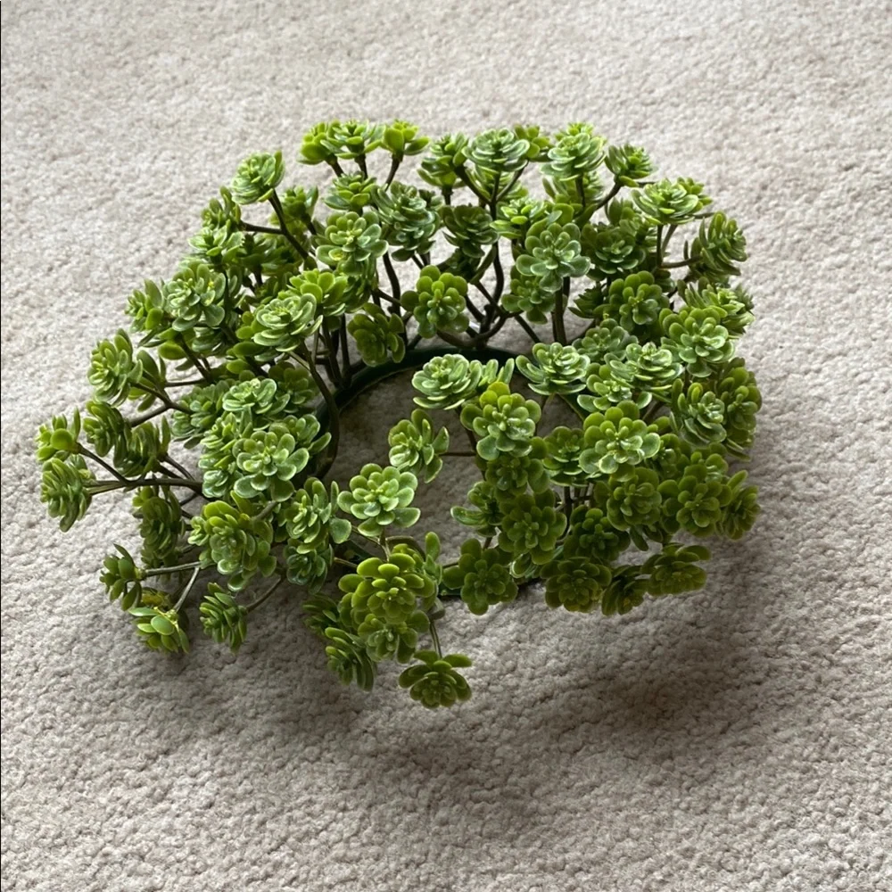 Green Succulent Wreath